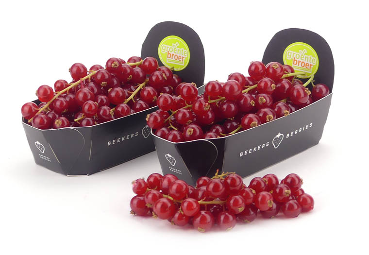 Rode Bessen Online Kopen bij de Fruitspecialist