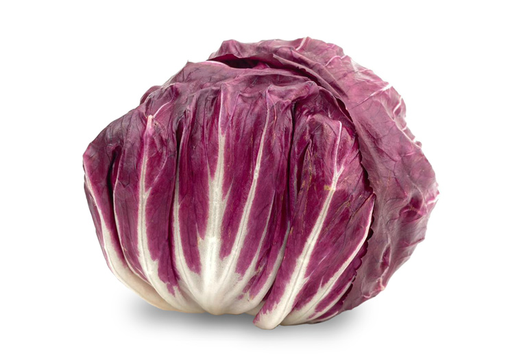 Bestel Rode Sla bij de Online Specialist