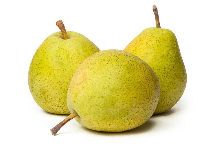 Koop Saint Remy Stoofpeertjes bij de Specialist