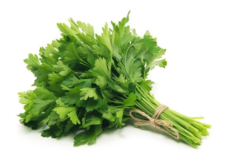 Selderij - Online Bestellen - Groentebroer.nl