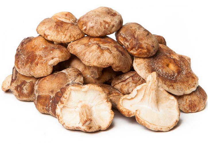  Shiï Take Paddestoelen Online Kopen