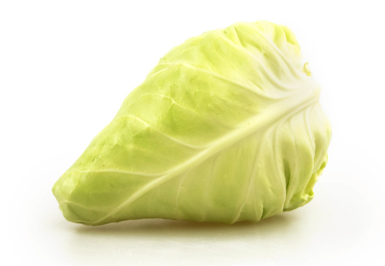 Spitskool - Kopen bij de online groenteman