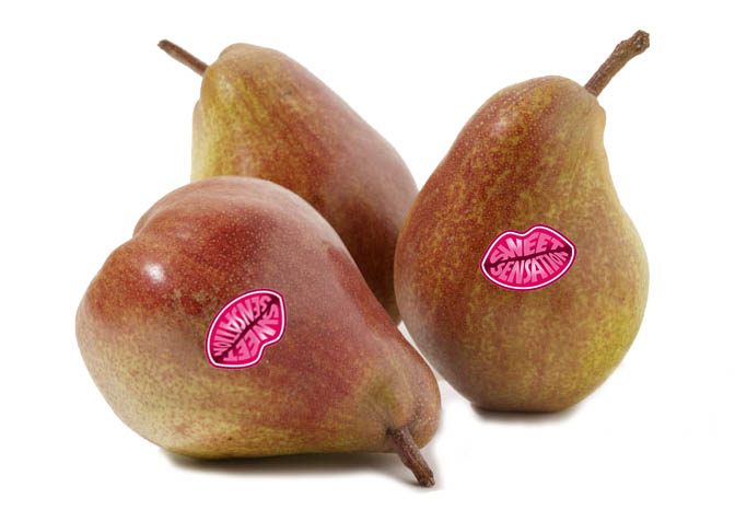 Koop Sweet Sensation Peren Online. Vandaag Bestellen = Vandaag in Huis