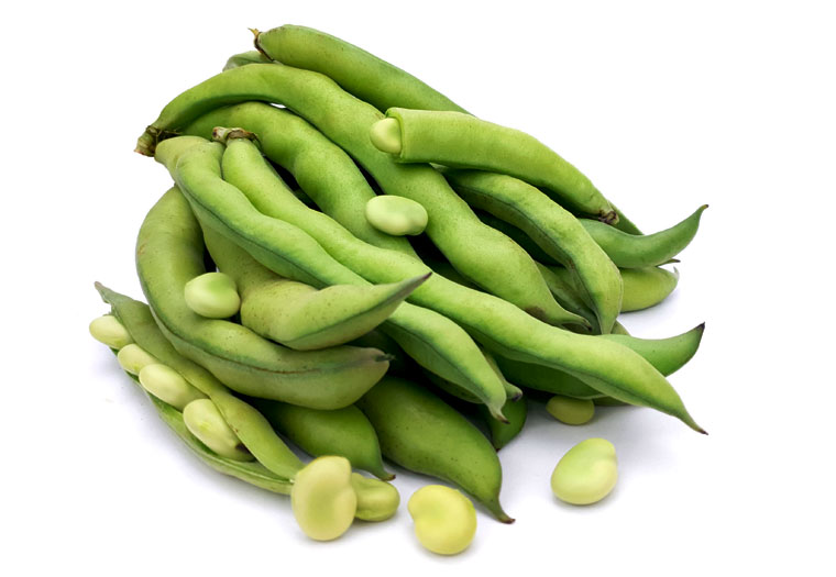 Tuinbonen Online Kopen bij de Groentespecialist