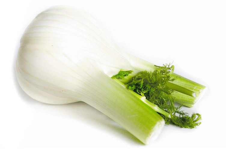 Bestel Uw Venkel Knol Online bij de Beste Groenteman van Nederland