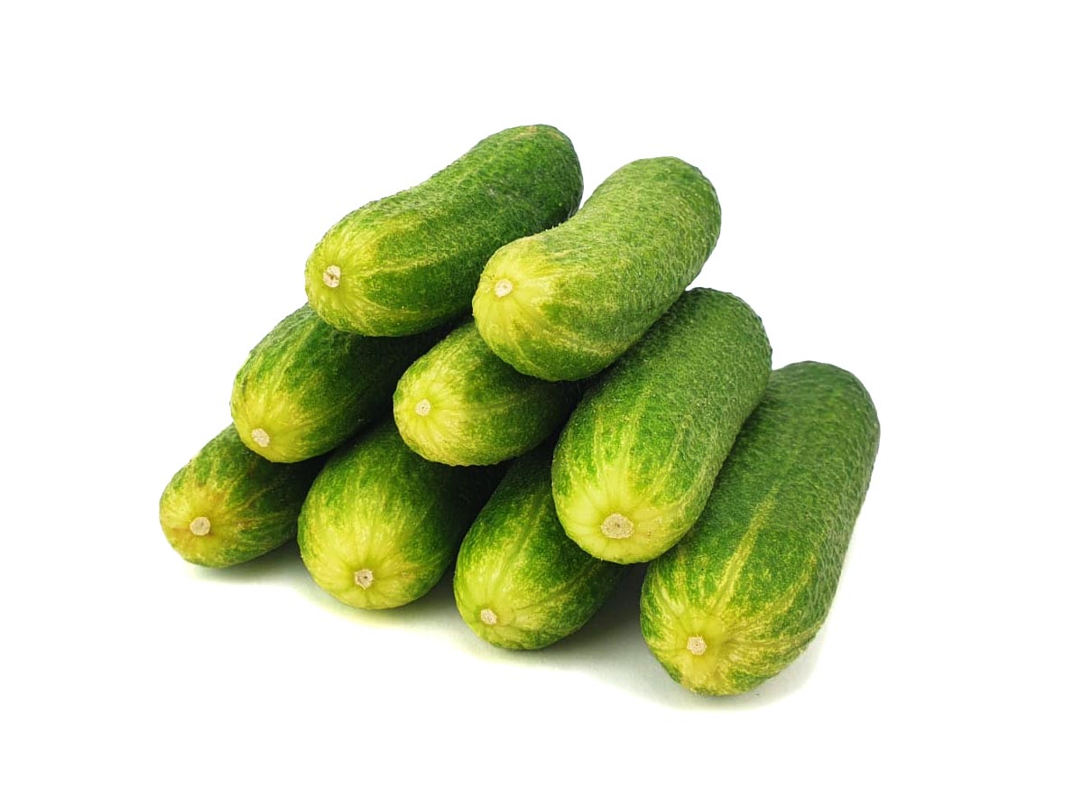 Bestel Verse Augurken Online bij de Specialist