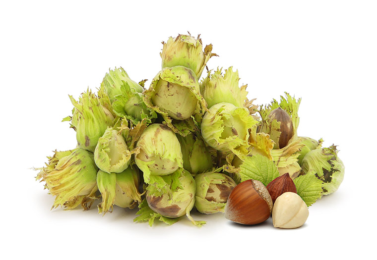 Koop verse Hazelnoten Online bij Groentebroer.nl