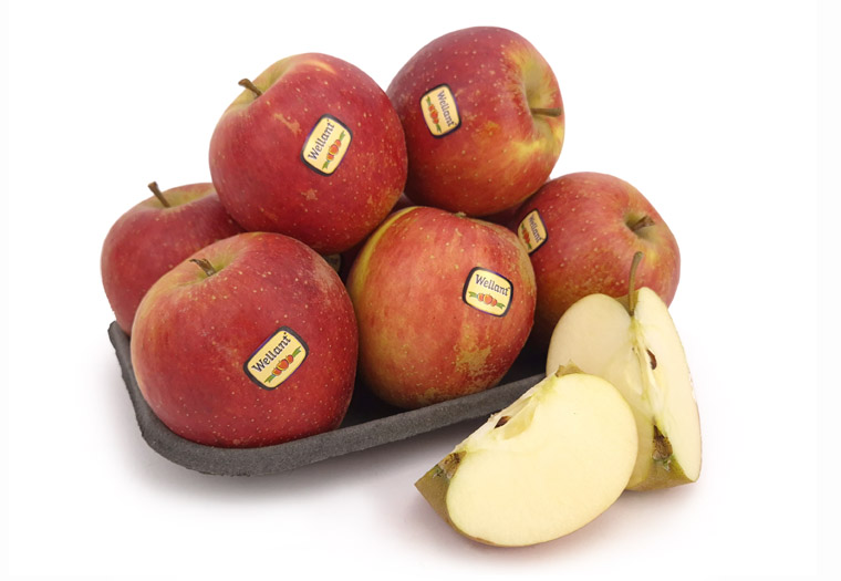 Wellant Online Kopen bij de Fruitspecialist