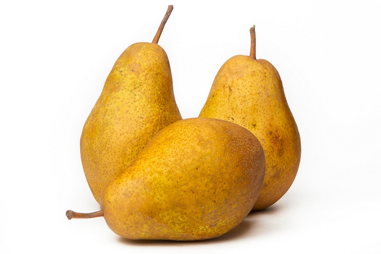 Koop Winterriet Stoofpeertjes Online bij Groentebroer