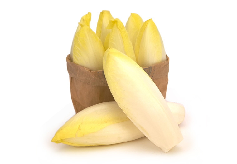 Bestel Online Verse Witlof van de Tuinder