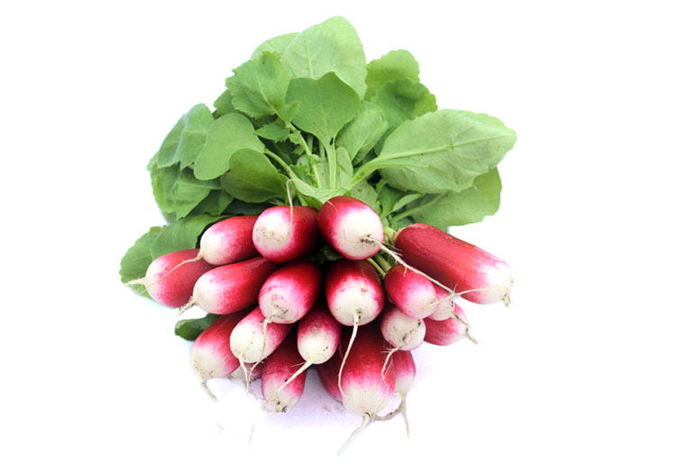 Witpuntradijs Online Kopen | Groentebroer.nl