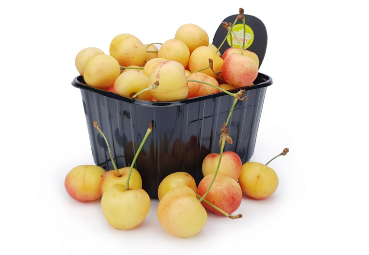 Witte Kersen Online Kopen bij de Fruitspecialist