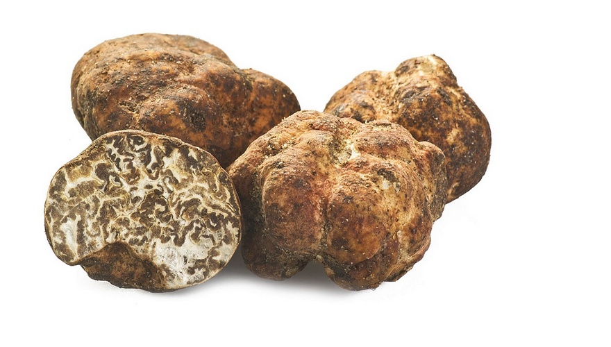 Witte Truffel Online Bestellen bij de Specialist