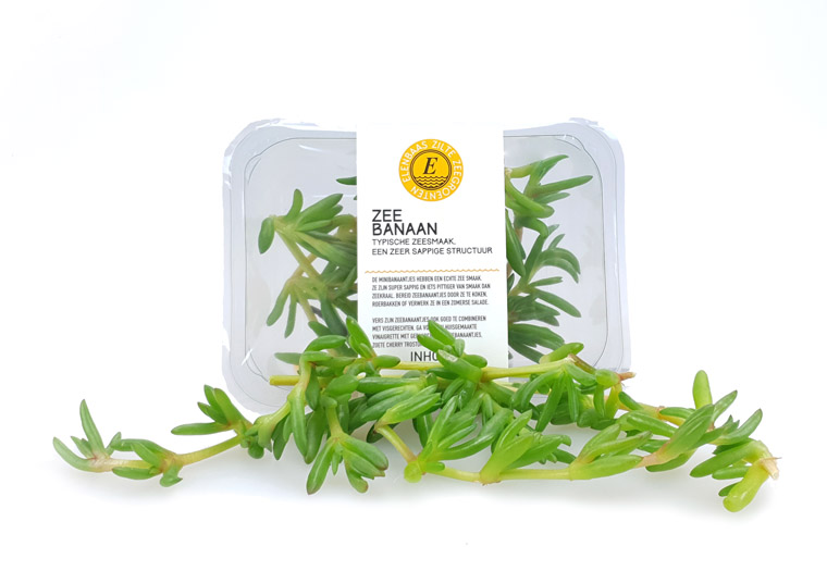 Koop Zeebanaan bij de Groentespecialist uit Zeeland