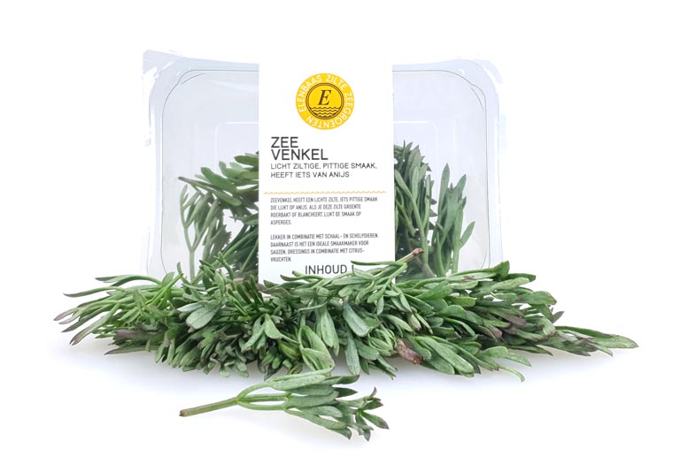 Zeevenkel Kopen bij de Groentespecialist in Zeeland