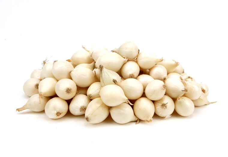 Koop verse Zilveruitjes Online. Vandaag Bestellen = Vandaag in Huis