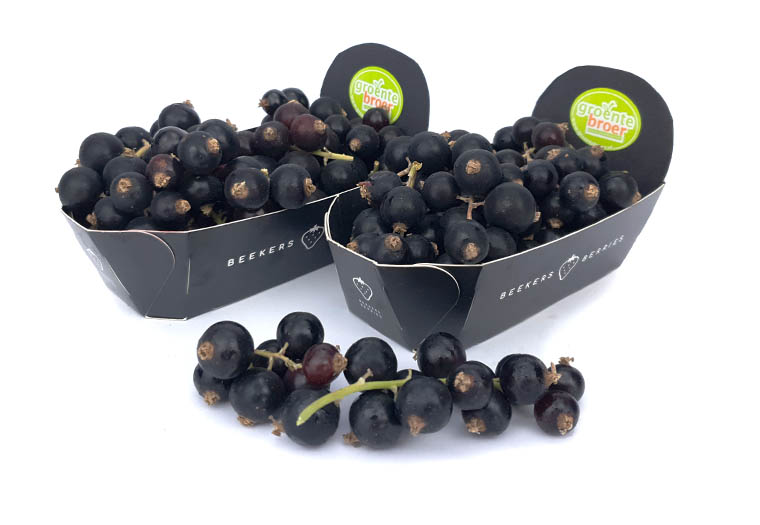 Zwarte Bessen Online Kopen bij de Fruitspecialist