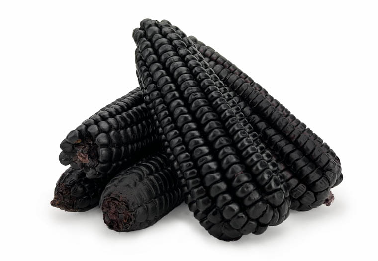 Zwarte Maïs Online Kopen bij de Groentespecialist