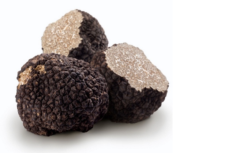 Koop Zwarte Wintertruffel Online. Vandaag Bestellen = Vandaag in Huis